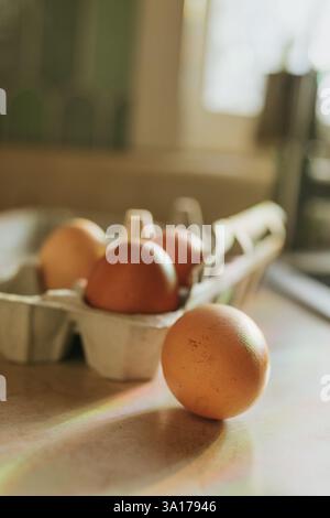 Rainbows shine down on four brown eggs sitting on counter Stock Photo