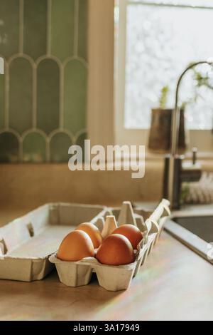 Rainbows shine down on four brown eggs in open egg carton Stock Photo