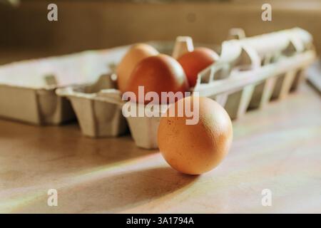 Rainbows shine down on four brown eggs sitting on counter Stock Photo