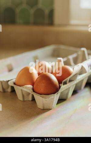 Rainbows shine down on four brown eggs in open egg carton Stock Photo