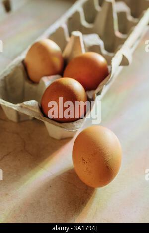 Rainbows shine down on four brown eggs sitting on counter Stock Photo