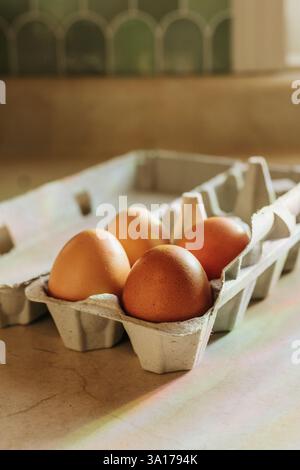 Rainbows shine down on four brown eggs sitting on counter Stock Photo
