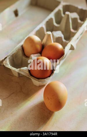 Rainbows shine down on four brown eggs sitting on counter Stock Photo