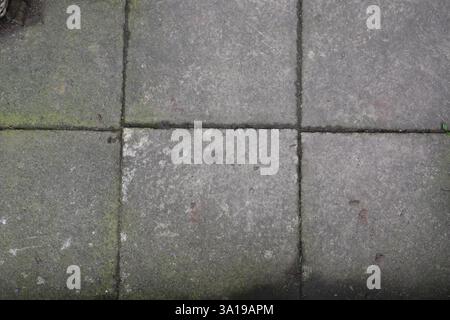 A grey tiled floor with a green mossy patch. The tiles are square and the floor is grey Stock Photo