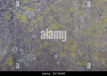 A grey and yellow surface with a lot of moss and dirt. The surface is rough and uneven Stock Photo