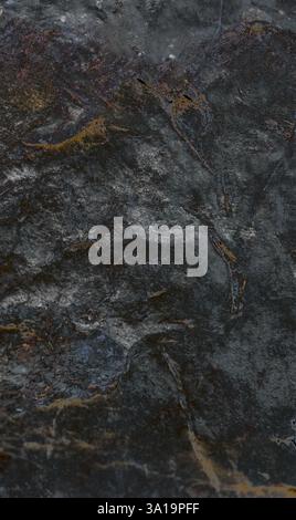 Abstract vertical wallpaper of stone with texture Vertical graphic resource for backgrounds with selective blur.High quality. Copy space. Stock Photo