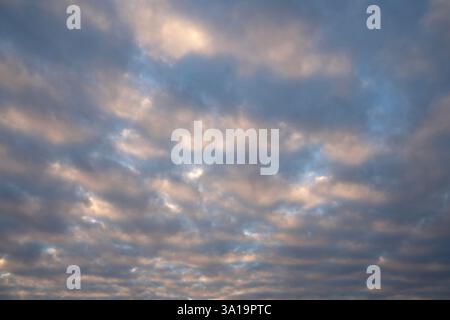 View to sky with fleecy clouds Stock Photo