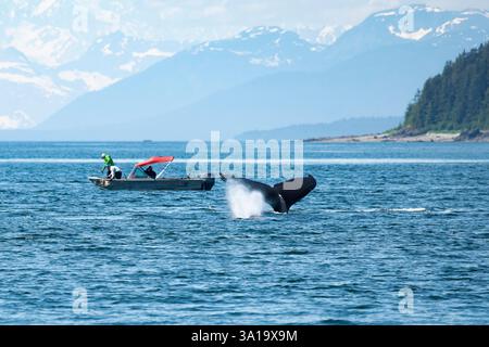 Whale watching in Glacier Bay with small boats Stock Photo