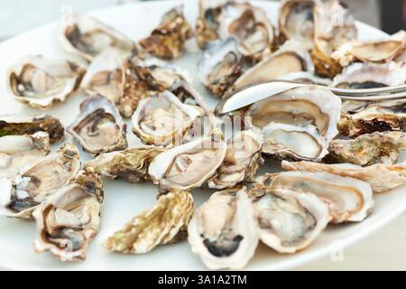 Fresh oysters. Raw fresh oysters are on white round plate, image isolated, with soft focus. Stock Photo