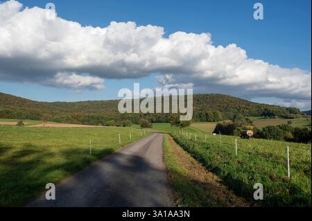 Country road between fields with blue sky and white clouds Stock Photo