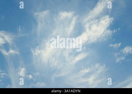Sky streaked with veil clouds Stock Photo