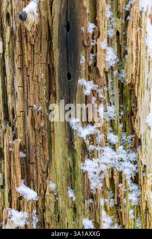 Weathered wooden surface, background image Stock Photo