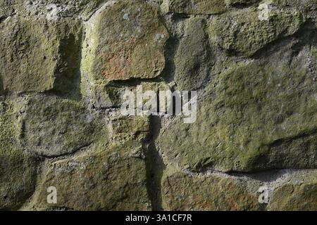 A wall made of stone with moss growing on it. The moss gives the wall a natural and rustic appearance Stock Photo