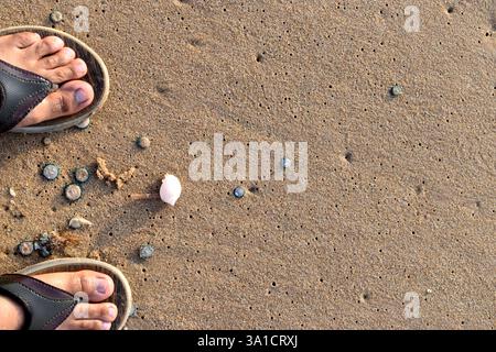Sandy Steps on a sea beach Stock Photo