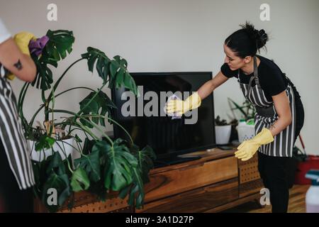 Professional housekeepers cleaning a modern living room interior with plants Stock Photo