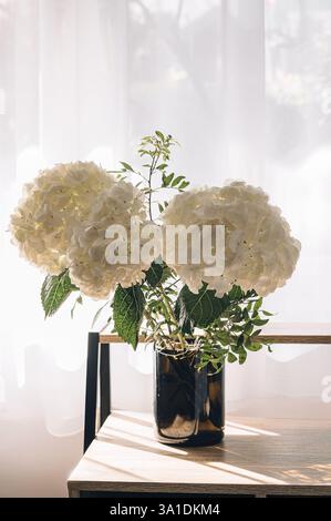 A bouquet of hydrangeas on a table against the backdrop of a window filled with sunlight. Beautiful floral background Stock Photo