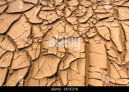 Detailed view of the cracked plate structure of a dry riverbed Stock Photo