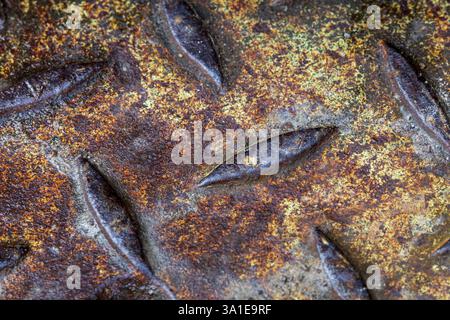 Abstract close-up of a rusty metal foot plate with rugged, oval shapes designed for anti-slip Stock Photo