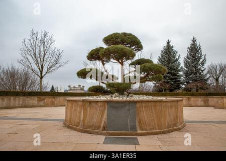 Decorative trees in the Palace of Culture garden in Iasi, Romania. Cloudy sky in foreground. Stock Photo