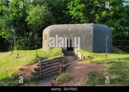 A small, gray concrete bunker surrounded by barbed wire and wooden barriers, set in a grassy area with trees in the background. Stock Photo