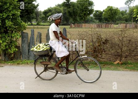 Rajasthani farmer on bicycle, Dilwara, Rajasthan, India, Asia Stock Photo