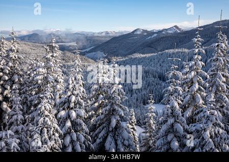 WA28172-00...WASHINGTON - Winter view from the Tenth Mountain Division Memorial Road  on the south side of Mount Rainier. Stock Photo