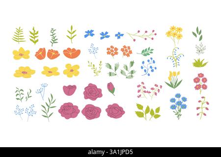 Collection of colorful floral illustrations with various blossoms. Stock Vector
