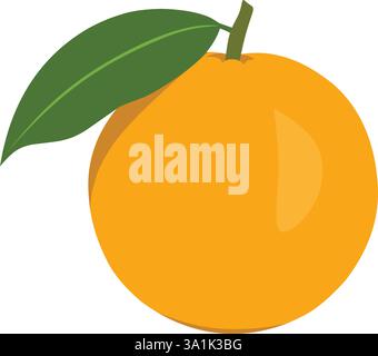 Orange with leaves isolated on white background Stock Vector