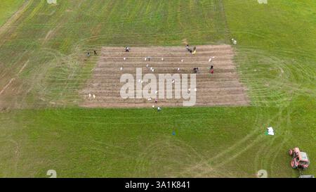 Aerial view of a group of people working in a rectangular agricultural field, surrounded by green grass. A tractor is visible on the right side of the Stock Photo