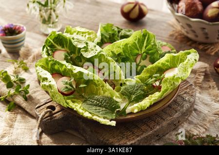 Healthy vegetable salad with fresh chickweed and nipplewort - wild edible plants harvested in early spring Stock Photo