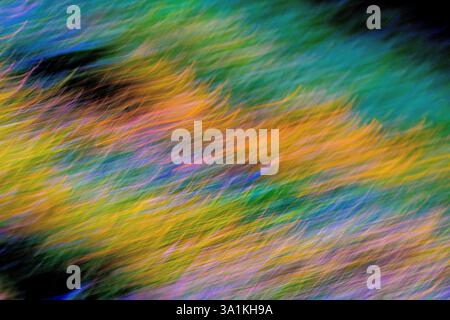 Abstract multicoloured background blur of coloured garden flowers - Indre-et-Loire (37), France. Stock Photo