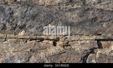 wide format background of stone surface covered with cracks and unevenness Stock Photo