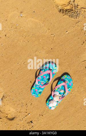 flip flops with seashells on the beach Stock Photo