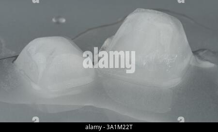 Two melted ice cubes in water macro close up view Stock Photo