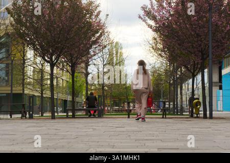 A person walks along a paved path in a serene urban park, surrounded by blooming pink trees. Stock Photo