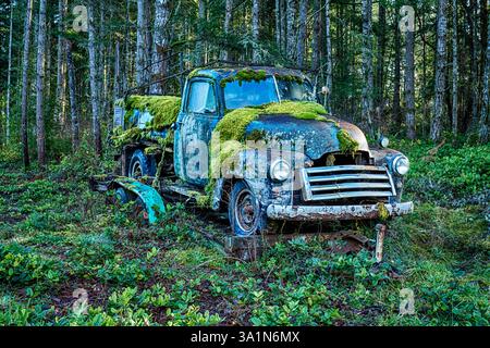 An old truck,. covered with blankets of soft green moss and lichen,  is left to slowly rust away in a forest clearing on San Juan Island. Stock Photo