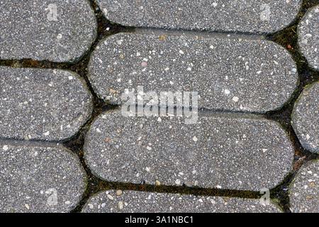 Close-up of interlocking gray paving stones with rounded ends, arranged horizontally. Green moss grows in the cracks between stones. Stock Photo