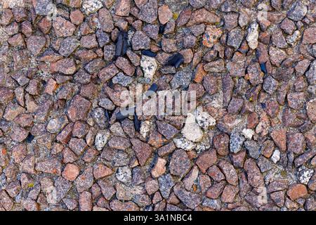 An overhead shot shows irregularly shaped, red-toned rocks set in concrete, with scattered black debris, creating a textured surface. Stock Photo