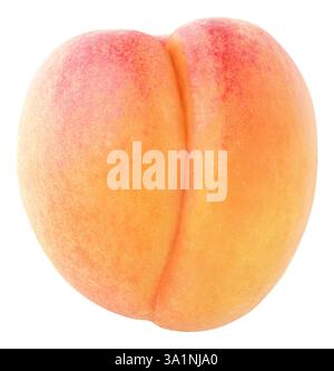 Isolated apricot fruit on white background Stock Photo