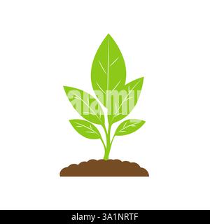 Sprout Logo Isolated White background. Vector Illustration Stock Vector