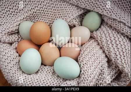 A nest of hues: Eggs in pastel shades nestled in a cozy knit blanket, a gentle reminder of nature's simple beauty and warmth. Stock Photo