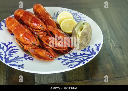 Whole lobsters from Maine on a nautical dish with a baked potato and lemon. Stock Photo