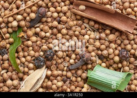 close-up macro view of roasted coriander seeds with other aromatic spices, cinnamon, cloves, pandan leaves and black pepper for grinding Stock Photo