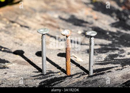 Rusty Nails on Wooden Stump. Contrast of Old and New, Rusty and Shiny Nails. Rusty and New Nails in Sunlight Stock Photo