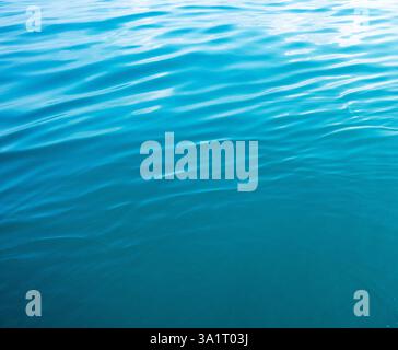 Blue sea water for background Stock Photo