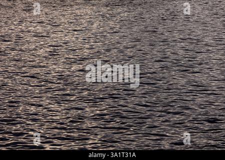 Close-up of lake or river water with gentle ripples forming soft, rolling hills on the surface, reflecting movement and fluidity Stock Photo
