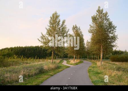 Winding bicycle path through green meadow at sunset Stock Photo