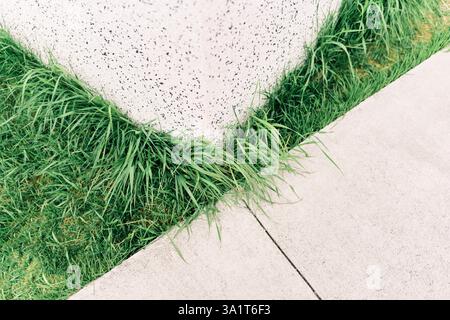 Green grass growing near concrete wall in modern city park Stock Photo