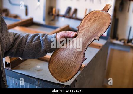 The back of a violin in the hands of a master. Stock Photo