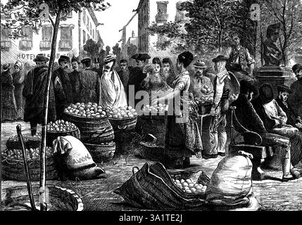 Spanish Sketches: the fruit market, Malaga, 1873. 'The seaport city of Malaga, on the south-east coast of Spain, is situated in a land which enjoys the richest advantages of soil and climate. The sun is very kind to this district of Granada, ripening its Muscatel grapes for sweet wine or raisins, its oranges, figs, olives, and almonds - nay, more, its semi-tropical produce of coffee, cocoa, sugar, and cotton. These are for the export trade of Malaga, which also includes iron, lead, and other metals from the mountains behind. Fruits of various sorts, exposed for sale in the town market, tempt t Stock Photo